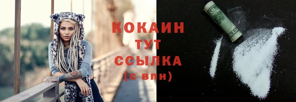 стаф Аркадак