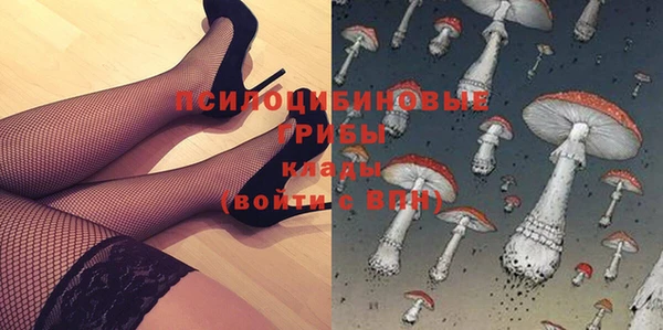 стаф Аркадак