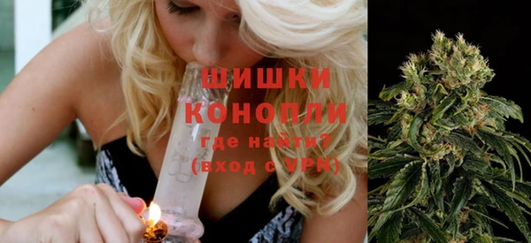 стаф Аркадак